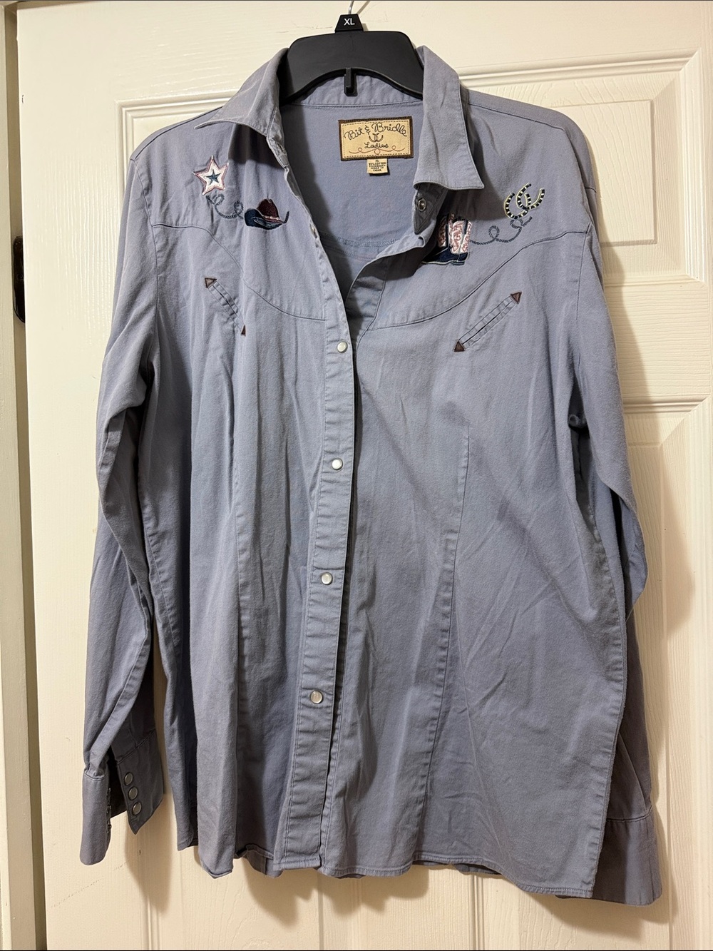 Bit & Bridle Light Blue Embroidered Western Button-Down Shirt
